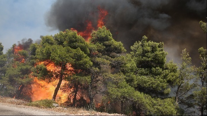 Πυροσβεστική: Εκδηλώθηκαν17 αγροτοδασικές πυρκαγιές το τελευταίο 24ωρο