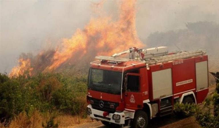 Φωτιά στο Κιλκίς: Σε εξέλιξη πυρκαγιά στην περιοχή Ειρηνικό